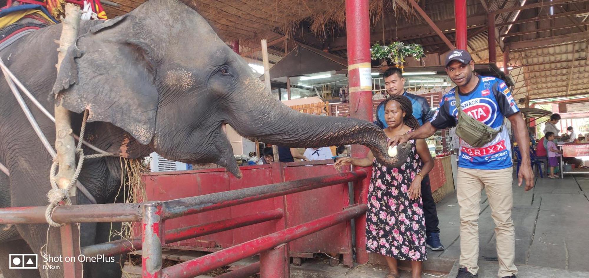 V House Otel Phra Nakhon Si Ayutthaya Dış mekan fotoğraf
