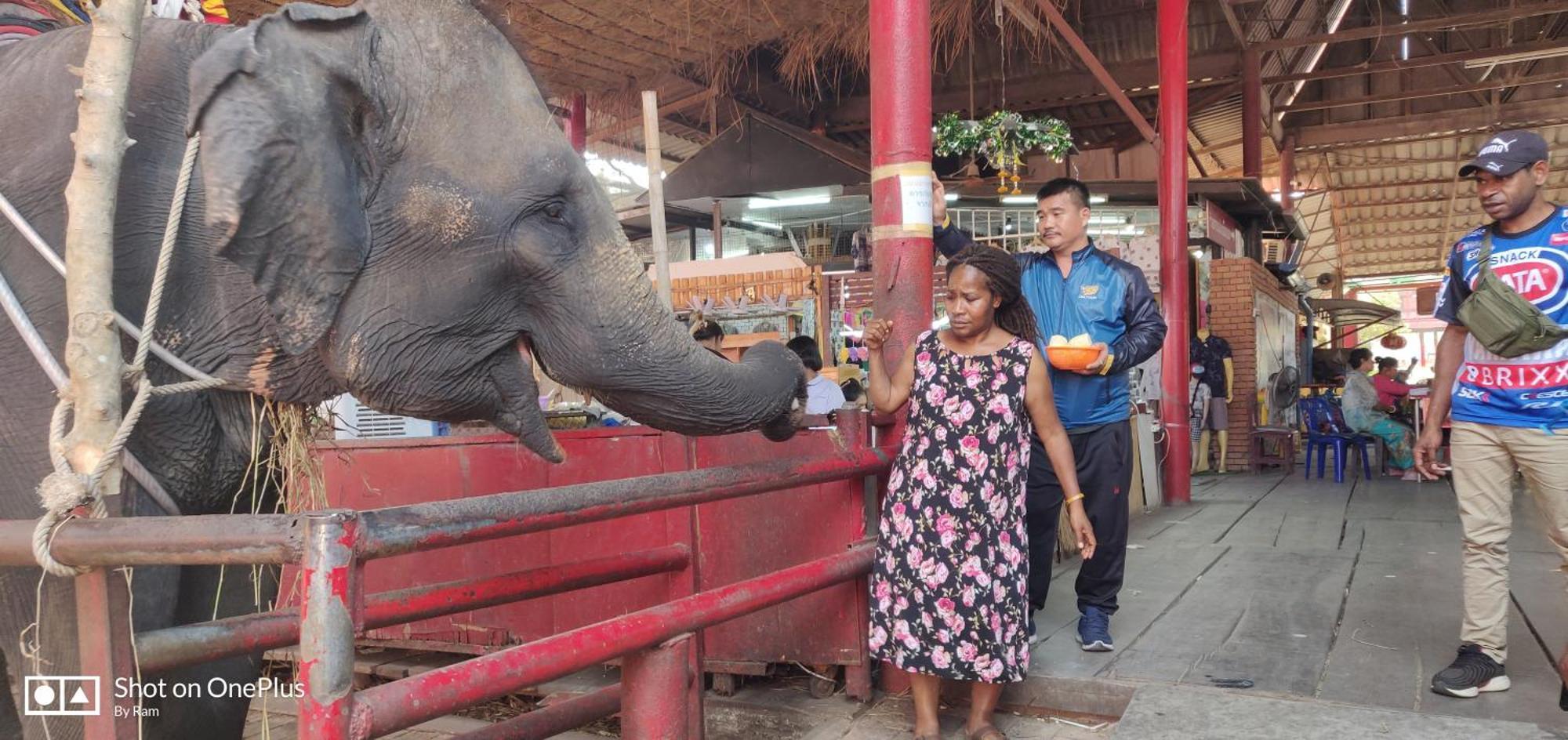 V House Otel Phra Nakhon Si Ayutthaya Dış mekan fotoğraf